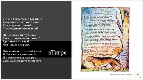 Краткий пересказ тигр тигр