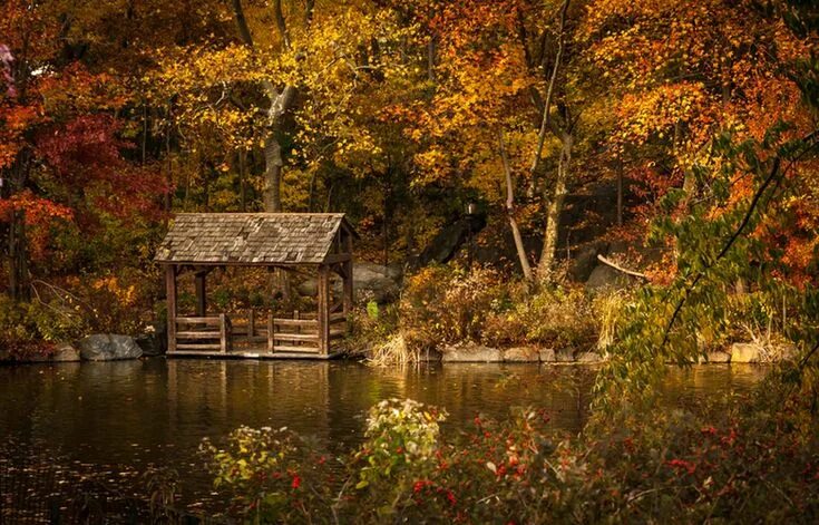 2560x1440px free download HD wallpaper: autumn, forest, lake, reflection, trees 