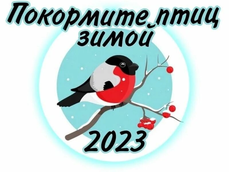 Конкурс покормите птиц. Конкурс покормите птиц
