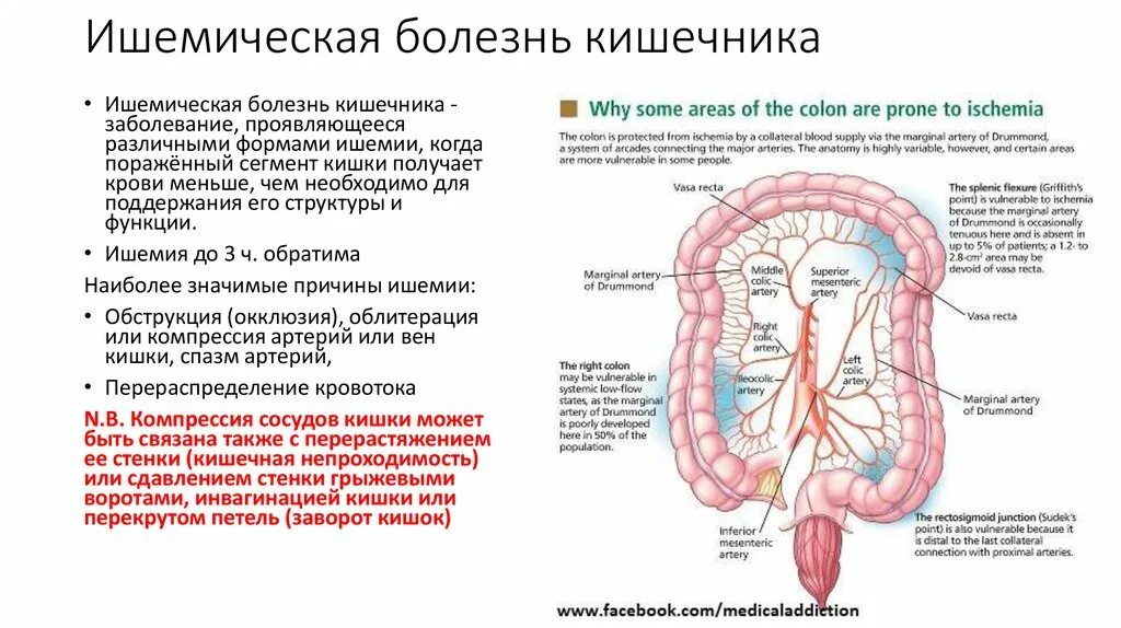 Боли при болезнях кишечника. Симптом, характерный для поражения тонкой кишки. Заболевания тонкой и толстой кишки. Клинические симптомы поражения Толстого кишечника. Признаки поражения тонкой кишки.