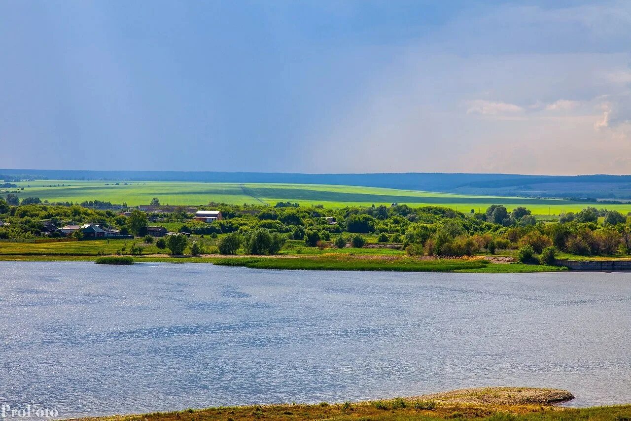 Подвалье Шигонский район. Село Подвалье Самарской области. Природа Новодевичье Шигонский район. Шигонский район Самарской области.