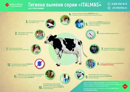 Маститы лечение ветеринария