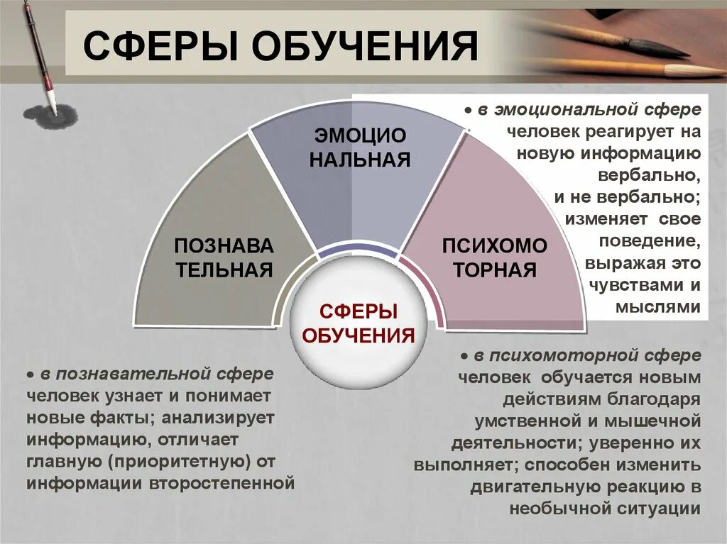 К сферам общения относятся. Сферы обучения в сестринском деле. Схема сферы обучения. Методы обучения пациентов. Обучение в сестринском деле сферы обучения.