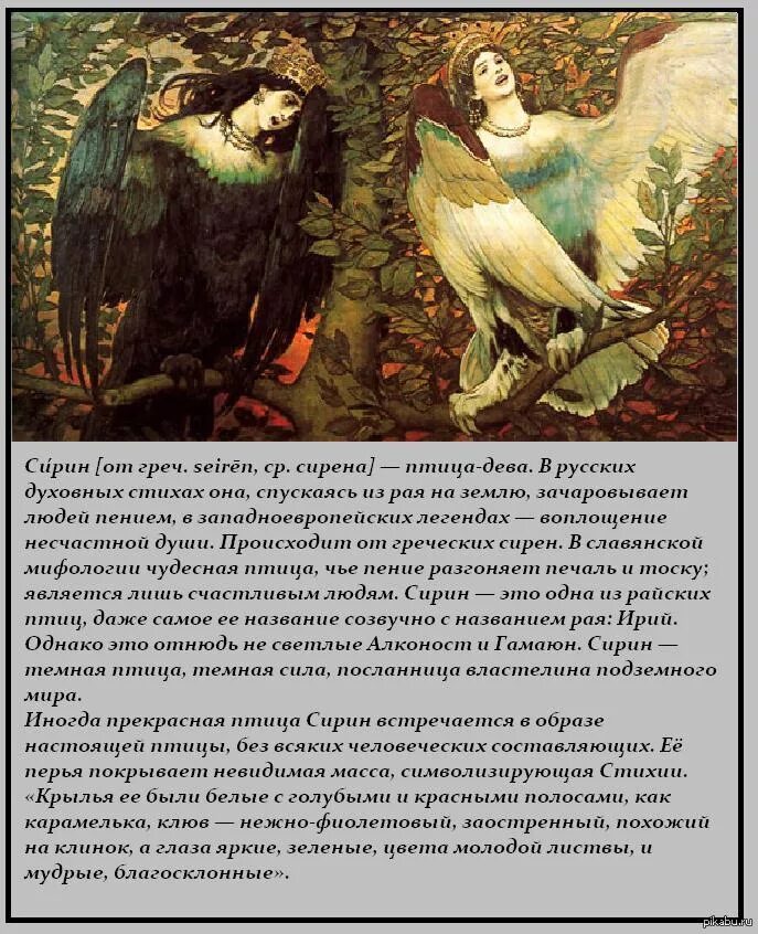 История шируя и сирин. Птица сирин и алконост. гамаюн сирин и алконост отличия. славянская мифология сирин и алконост. птица сирин и гамаюн.