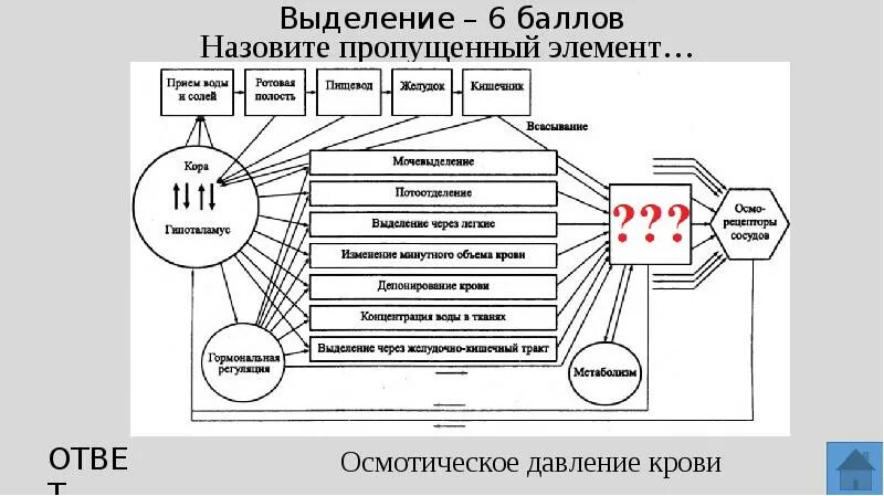 Функциональная система осмотического давления. Функциональная система осмотического давления крови. функциональная система поддерживающая осмотическое давление. функциональная система регуляции осмотического давления крови. осмотическое давление крови схема поддержания.