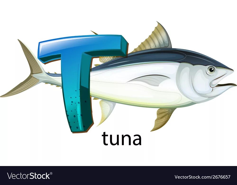 Рыба на букву т. Тунец вектор. Рыба на букву с. Тунец без фона.