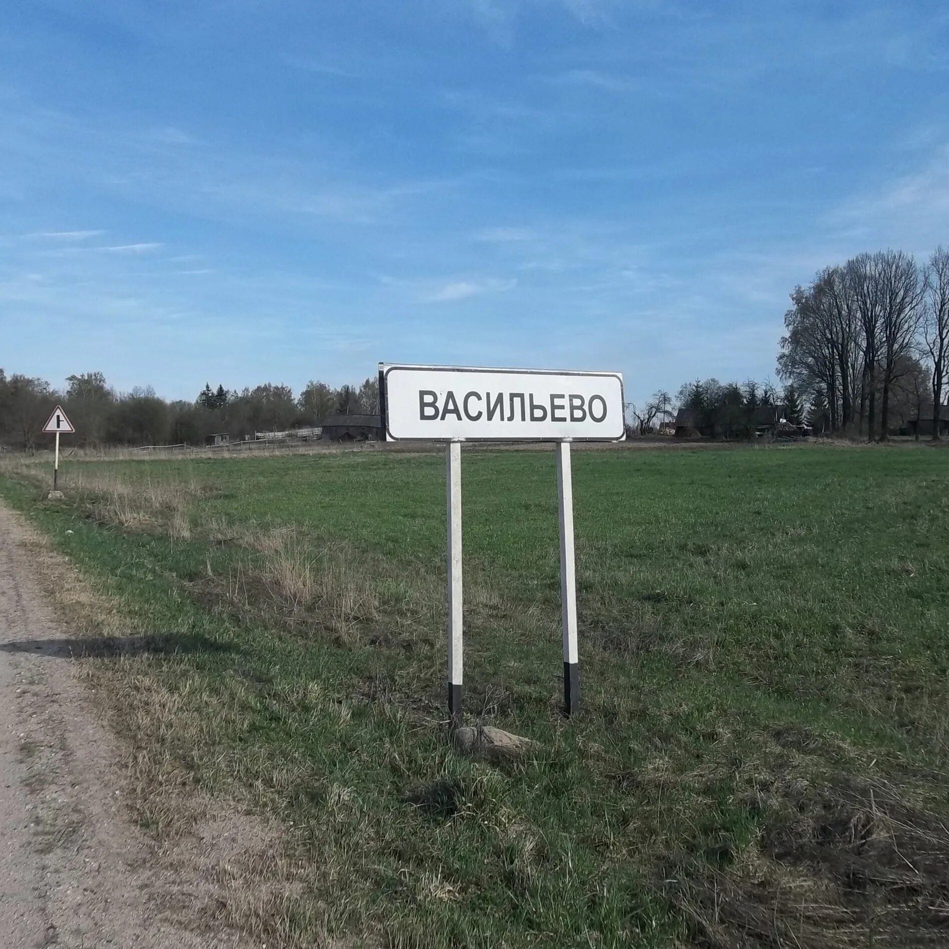 Васильево погода завтра. Деревня Васильево. Деревня Васильево Палкинский район. Васильевская волость Палкинский район. Деревня Васильево Вологодская область.