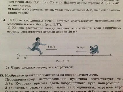 Кузнечик прыгает вдоль координатной прямой 11 прыжков