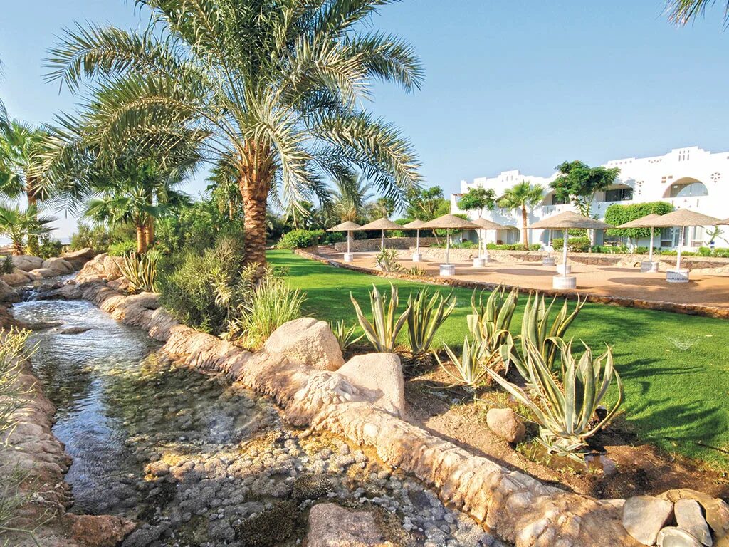 Домина корал оазис шарм-эль-шейх. Отель domina coral bay bella vista sharm el sheikh 5. Домина корал оазис шарм-эль-шейх. Domina oasis египет шарм. Domina oasis египет шарм.