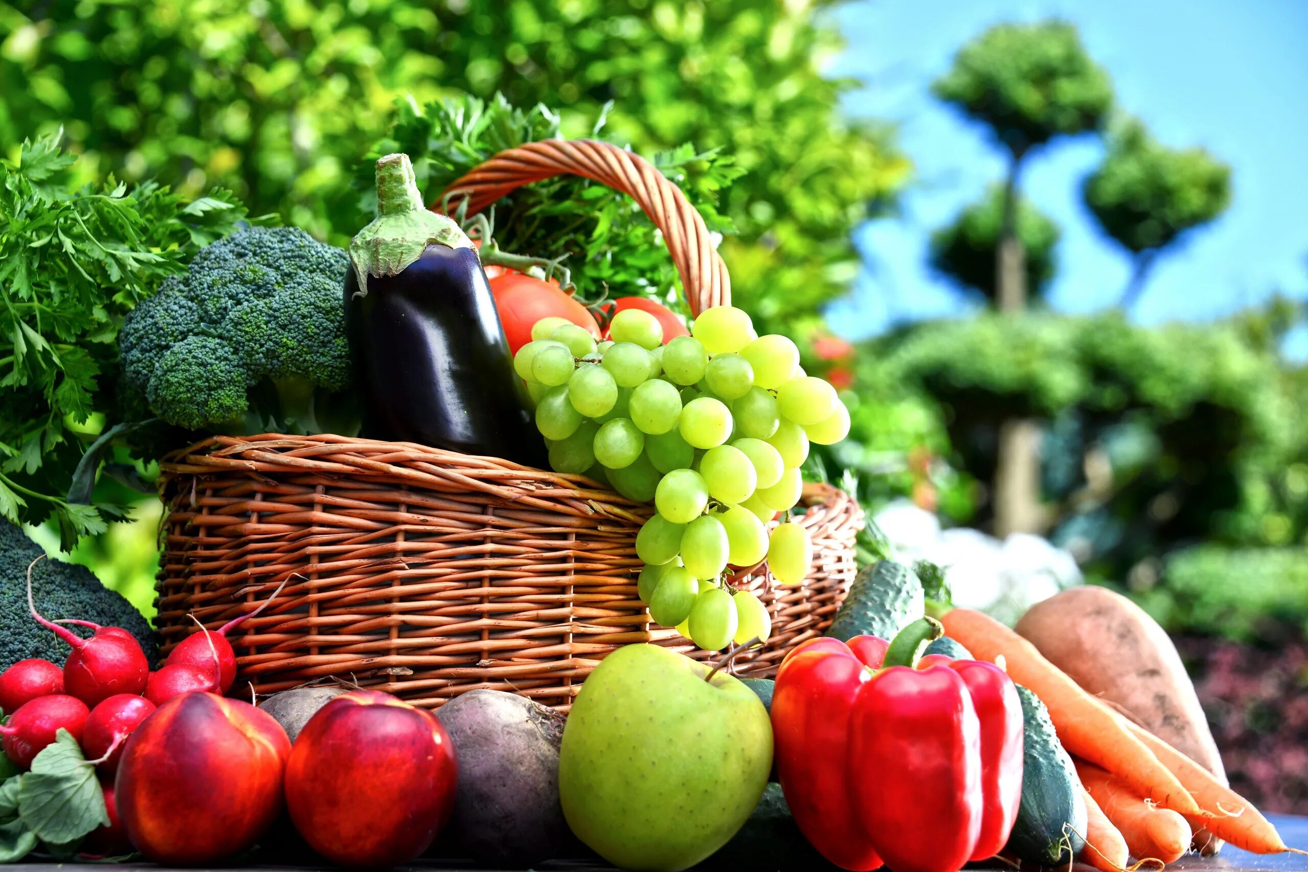 Овощи и фрукты. Корзинка с овощами. Корзина с овощами и фруктами. Красивые овощи. Овощи фрукты форум