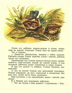 Рассказы про е