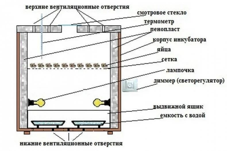 Инкубатор для яиц из бутылки. Схема инкубатора осетр. Инкупатор изхаладеника. Схема подключения самодельного инкубатора. Инкубатор из пенопласта для перепелов.