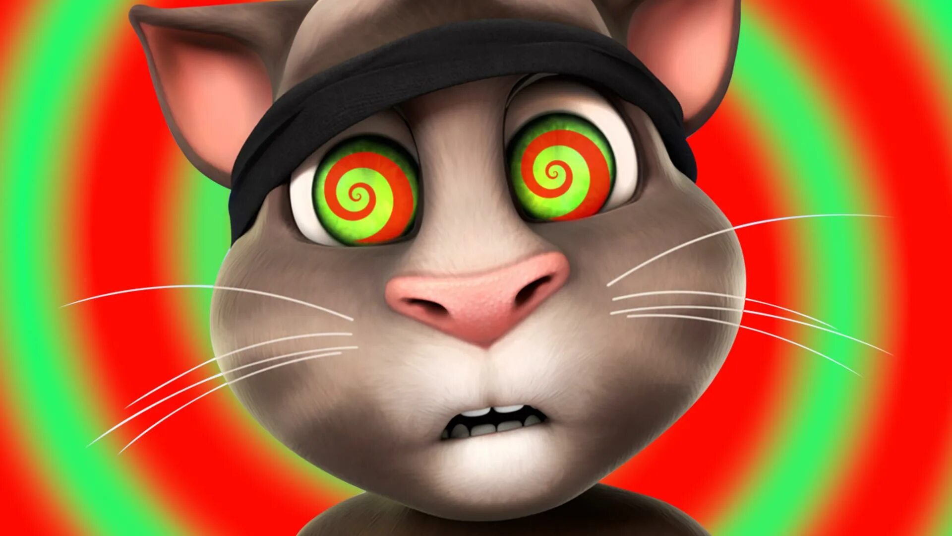 1 часть говорящего тома. Talking Tom. Talking Tom 2010. Talking Tom Cat. Talking Tom 1997.