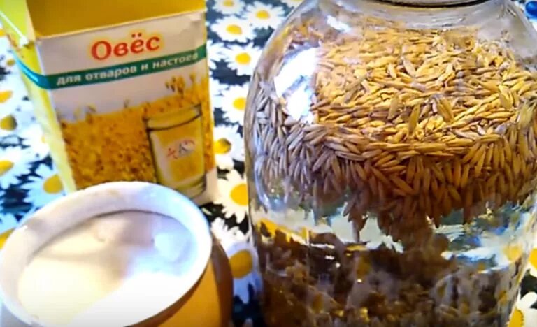 Молочный квас. Квас овсяный бездрожжевой. Квас из солода. Рецепт кваса прикол комментарии. Квас из березового сока.