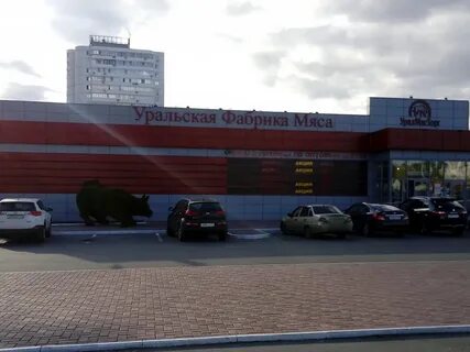 Магазин уральское мясо