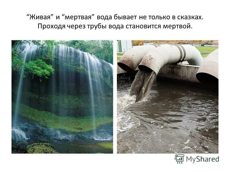 Мертвая вода где находится. Живая и мертвая вода. Сосуд с живой и мертвой водой. Презентация Живая и мертвая вода для дошкольников. Живая и мертвая вода фото.