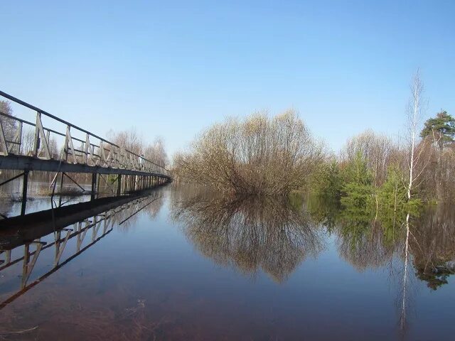 Уровень воды в реке днепр в лоеве. Река Керженец Нижегородская область. Сита (река, впадает в Петропавловское озеро). Половодье на Керженце. Река Сита Хабаровский край.