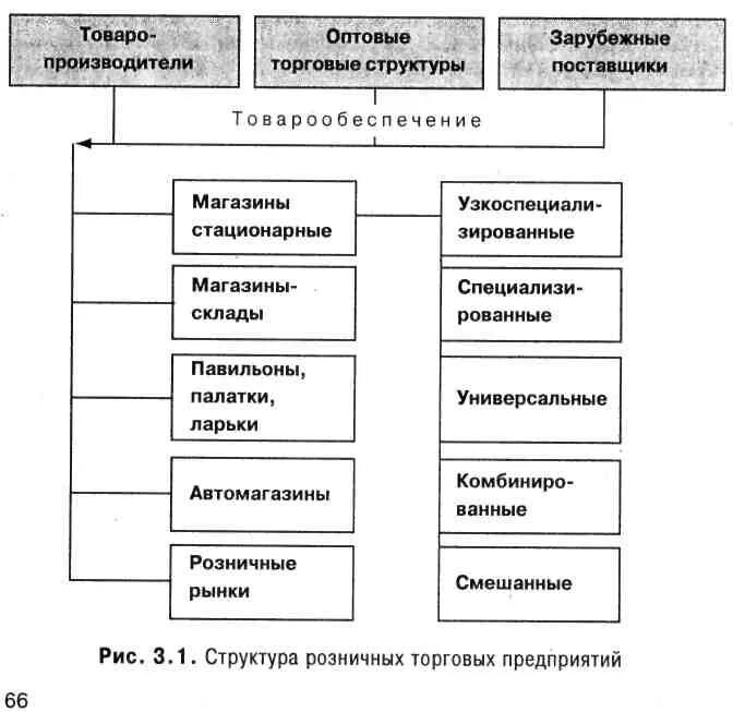 Структура оптовых предприятий. Структура оптовых предприятий