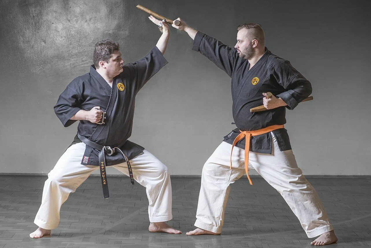 Маваши гери. Каратист. Маваши гери. Боевые искусства википедия. Боевые искусства википедия.