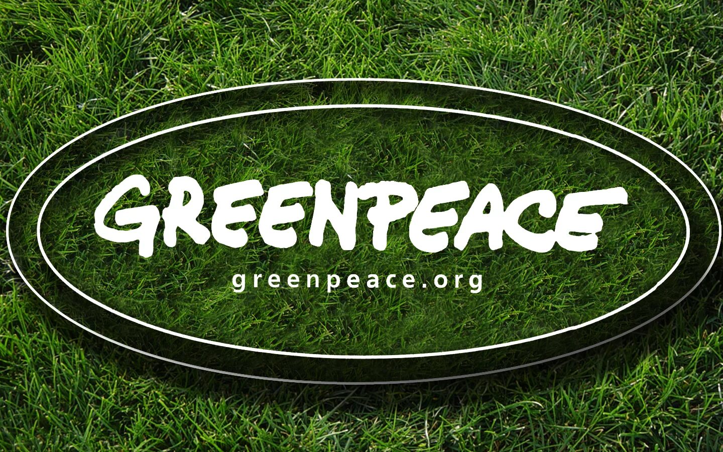 Greenpeace organization