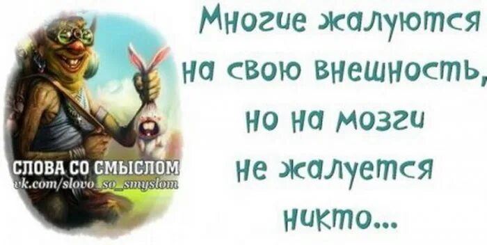 Прикольные слова в картинках. Смешные открытки со смыслом. Афоризмы Веселые со смыслом. Прикольные картинки CJ cvsckjv. Слова со смыслом прикольные.