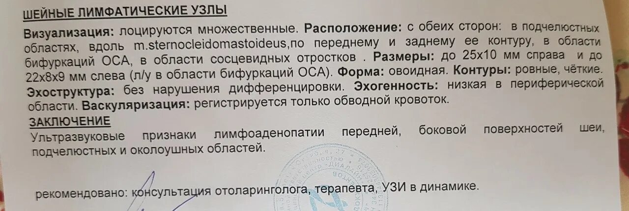 Что значит лимфоузел. Протокол УЗИ шейных лимфатических узлов. УЗИ лимфоузлов шеи заключение. Описание лимфатических узлов на УЗИ. Лимфоузлы УЗИ протокол.