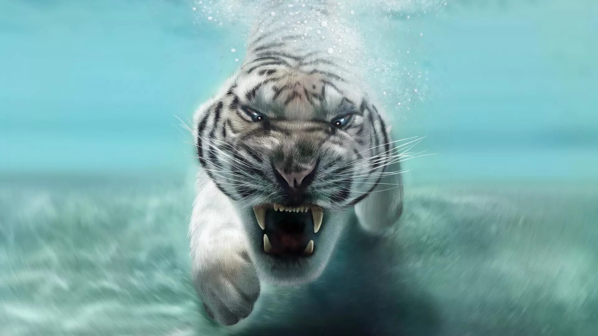 Тигр обои. Белый тигр. Тигр в воде. Заставка на рабочий стол тигр. Двигающиеся обои рабочий стол на телефоне