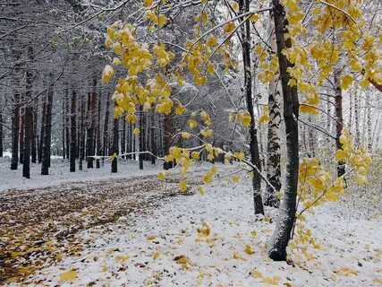 Самая поздняя осень