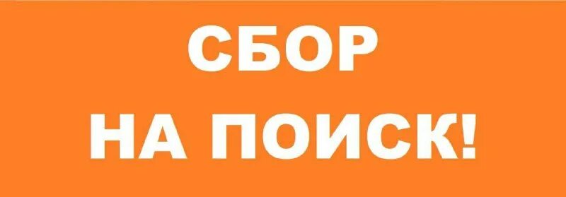 Сбор 24 травы кавказа. Сбор 24. Сбор 24. Сбор 24. Сбор караваева 24 травы состав.