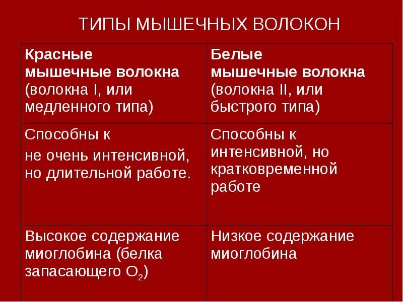 Заполните таблицу виды мышечных волокон медленные быстрые. Типы мышечных волокон физиология. красные и белые мышечные волокна. гликолитические мышечные волокна это какие. каково содержание миоглобина в мышечных волокнах типа i?.