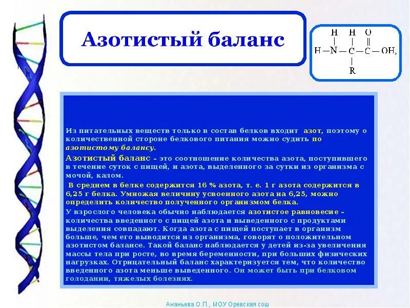 Азот в составе живых организмов. Азотистые соединения в организме. Азотистый обмен в организме человека. Баланс азота в организме. Азотистый баланс в организме человека.