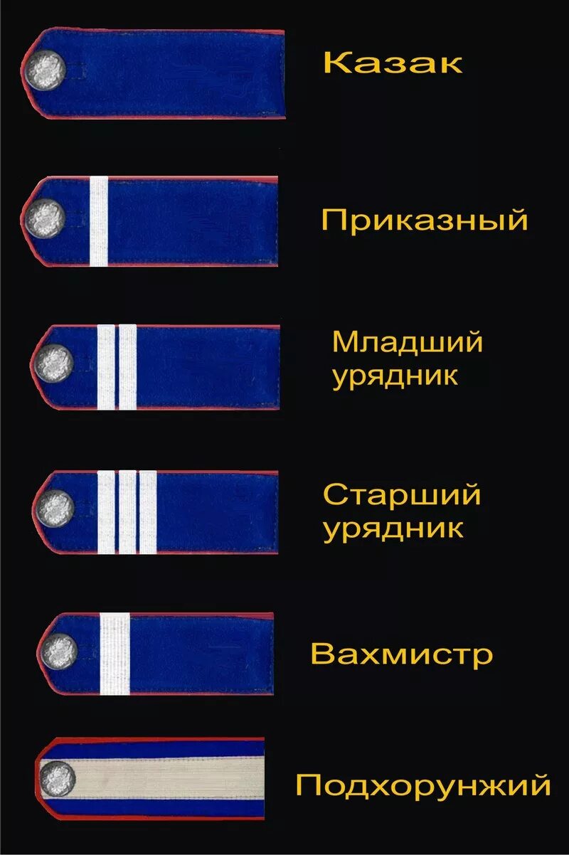 Вахмистр это какое звание сейчас