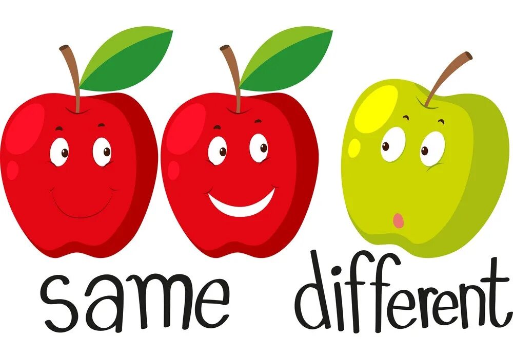 Same translate. Same different. same and different for kids. игра «same or different». same different flashcards for kids.