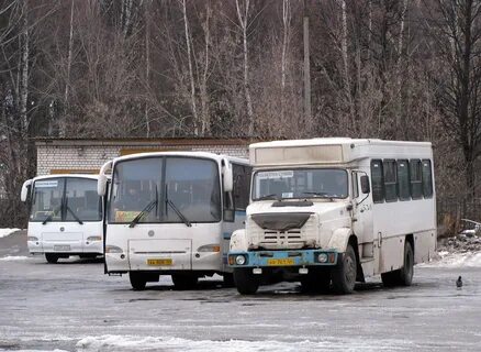 Костромская область автобус
