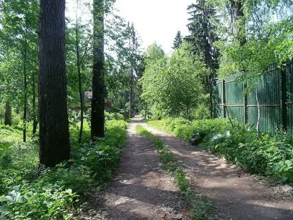 Г московский земельный участок