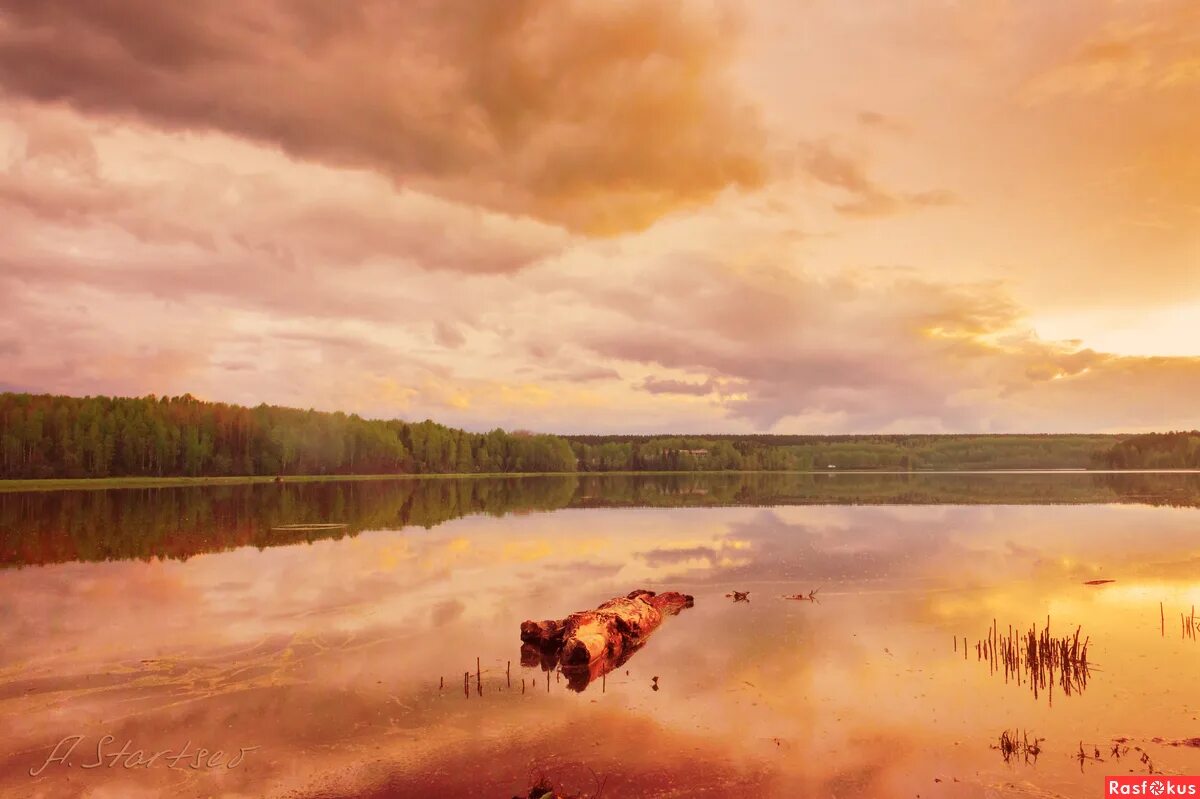 озера старец. протоиерей николай гурьянов. озера старец. дети на озере. старец тихон афон.