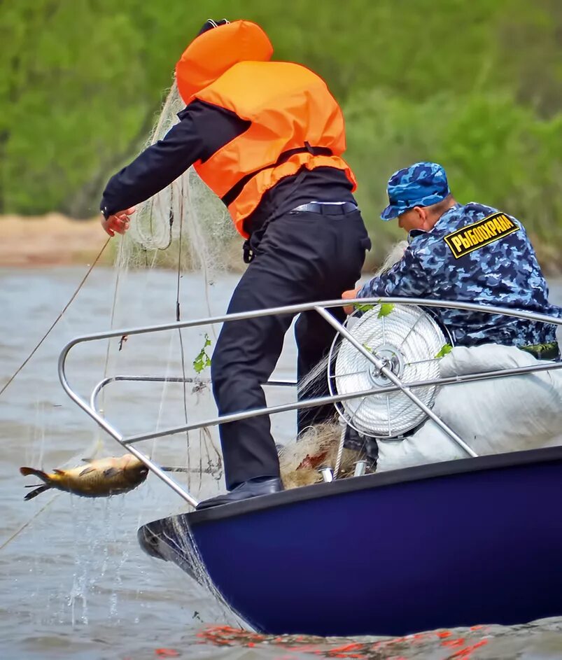 нарушение рыболовства