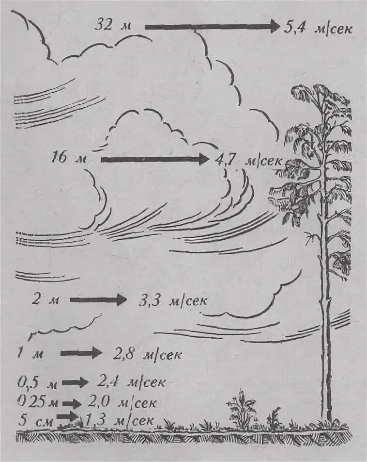 Скорость ветра на разных высотах. Скорость ветра на высоте. Зависимость ветра от высоты. Изменение скорости ветра с высотой.