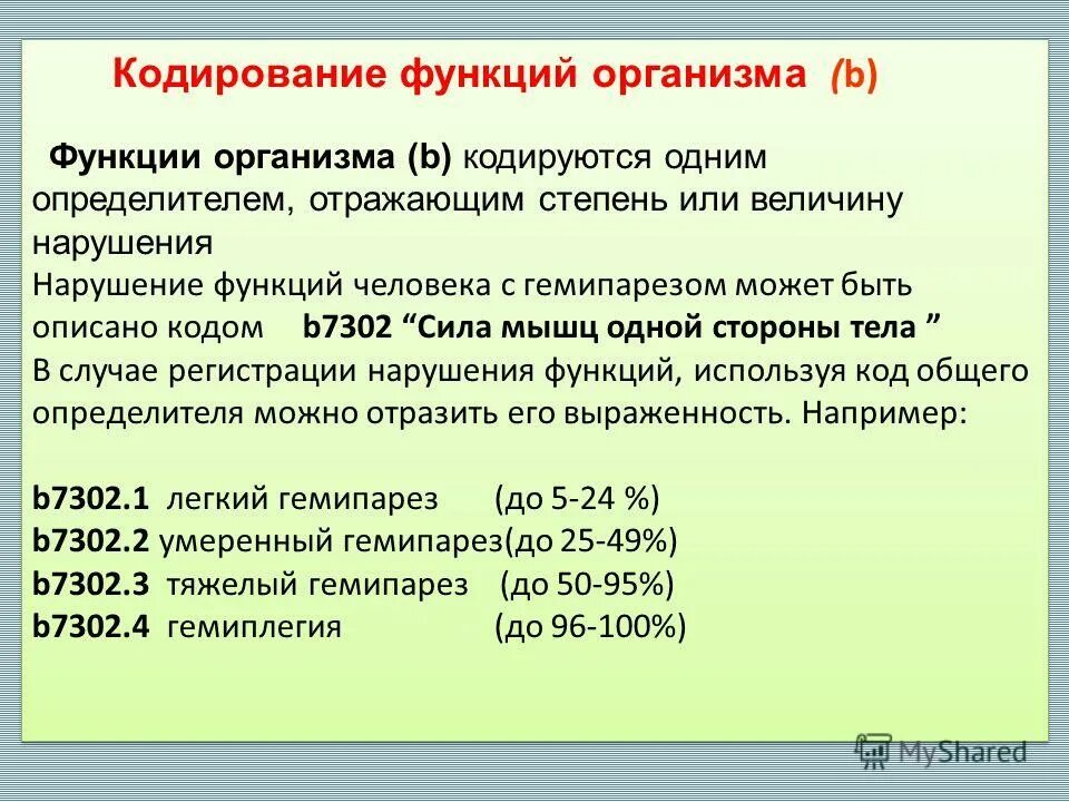B функции в организме