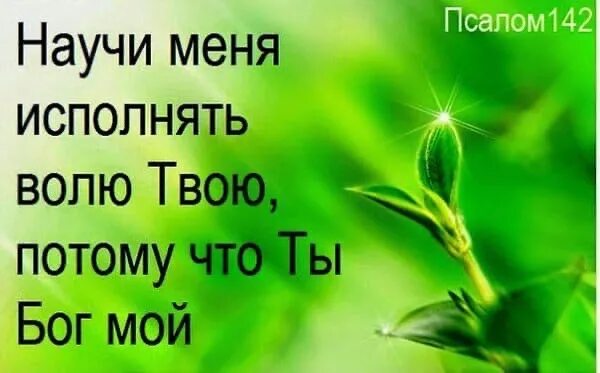 Псалом 18 читать. Научи меня исполнять волю твою. Научи меня исполнять волю твою потому что ты. Боже да будет Воля твоя. Псалом 142 10.