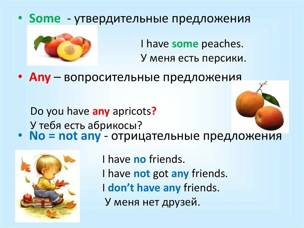 Местоимения some any. Неопределенные местоимения some any. Предложения с some any no. Some any how much how many правило. Когда используется much а когда many