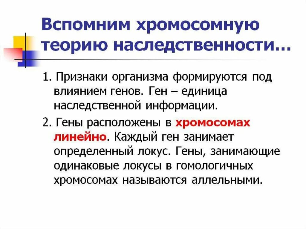 Назовите основные положения хромосомной теории наследственности. Хромомосмная теория наследственности. основные положения хромосомной теории наследственности т.моргана. 2. хромосомная теория наследственности. 1. хромосомная теория наследственности..