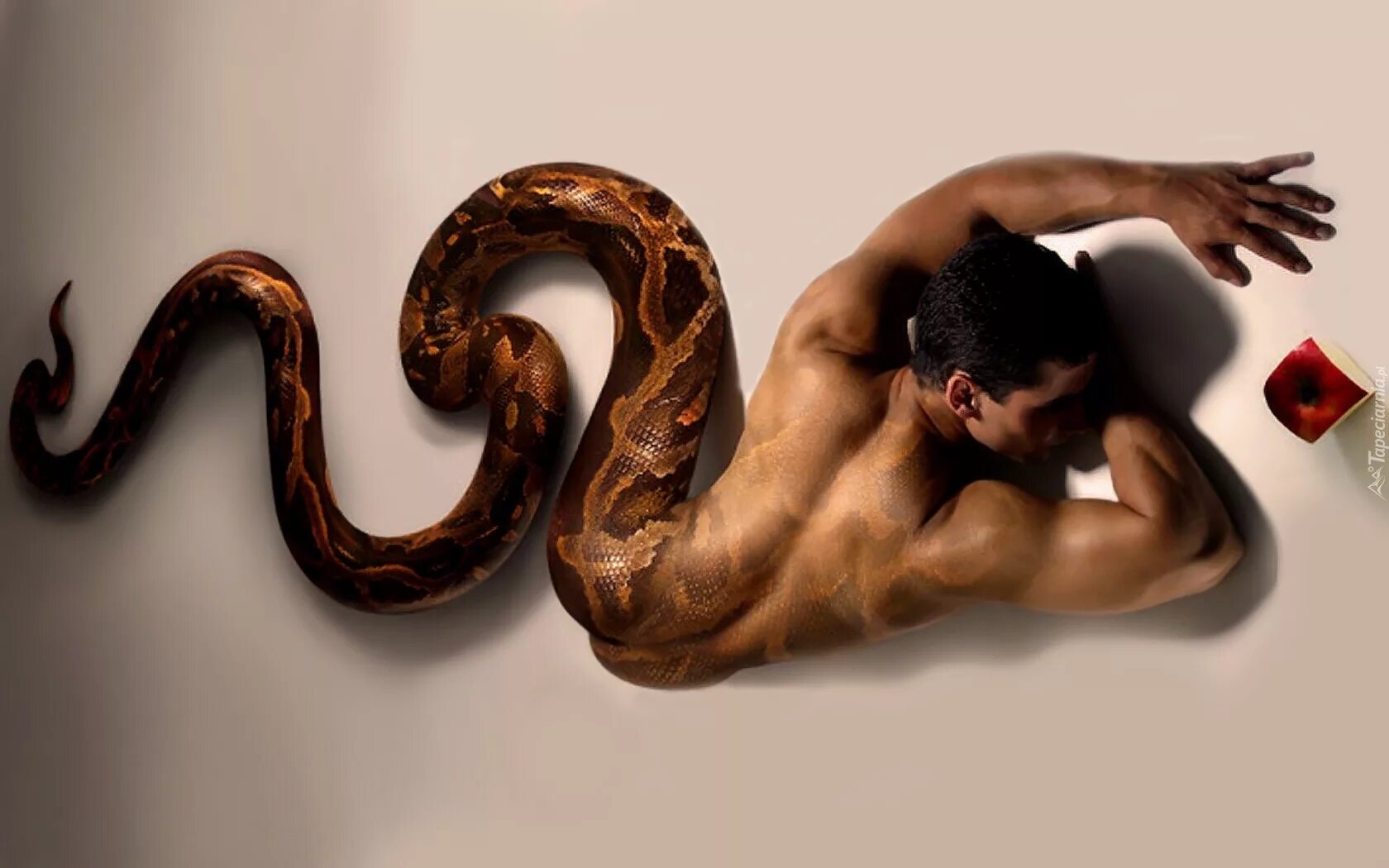 красивые девушки со змеями. фотосессия со змеями. девушка со змеями. Lilit snake модель. фотосессия со змеями.