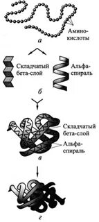 А спираль белка
