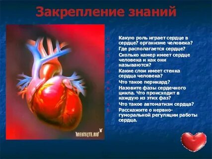 Высокое сердце значение