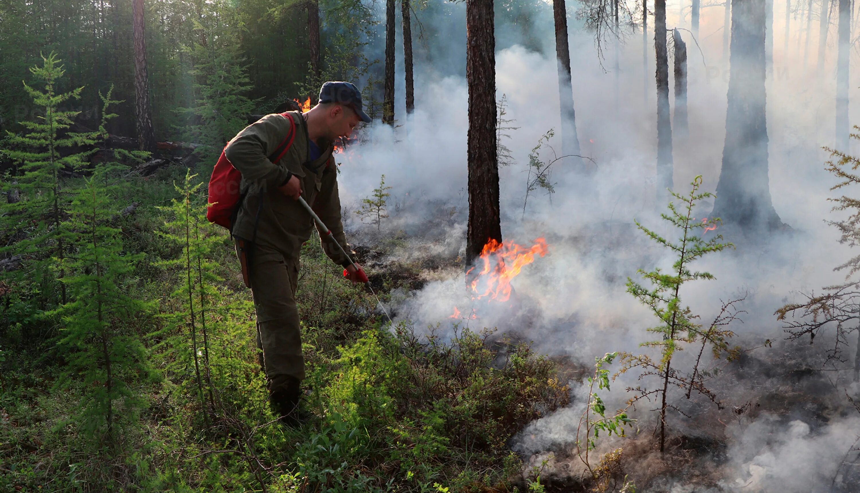 Лесные пожары в Якутии 2021. Тушение лесных пожаров в Якутии. Якутия пожар лес. Пожары в Якутии 2022.