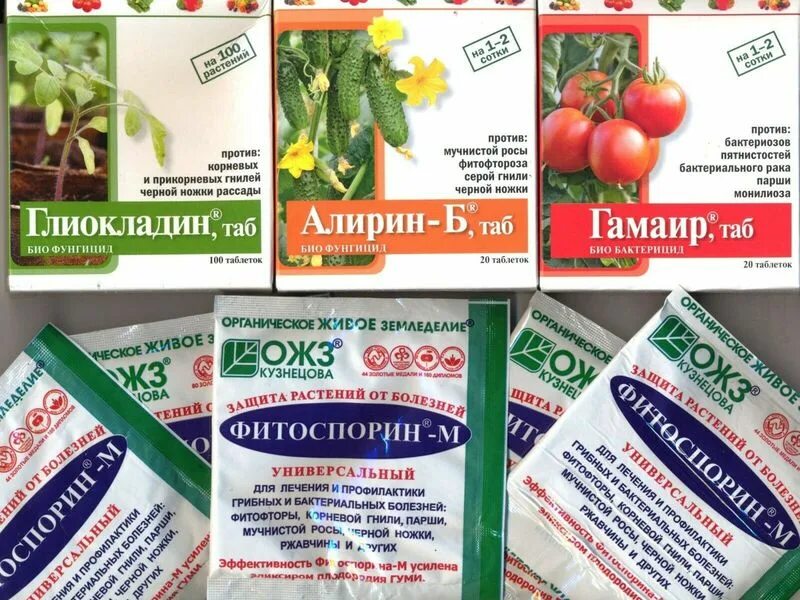Таблетки для помидоров. Алирин б и гамаир. Фитоспорин глиокладин. Фитоспорин глиокладин. Фитоспорин биопрепарат.