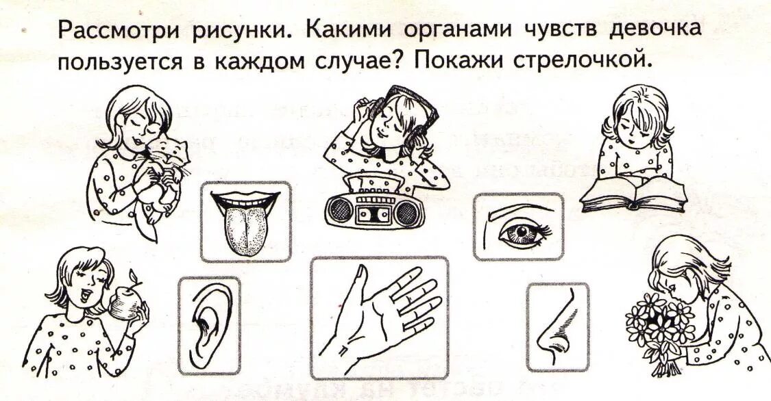 Органы чувств задания. Органы чувств задания для дошкольников. Задания для детей на тему органы чувств. Органы чувств 1 класс задания.