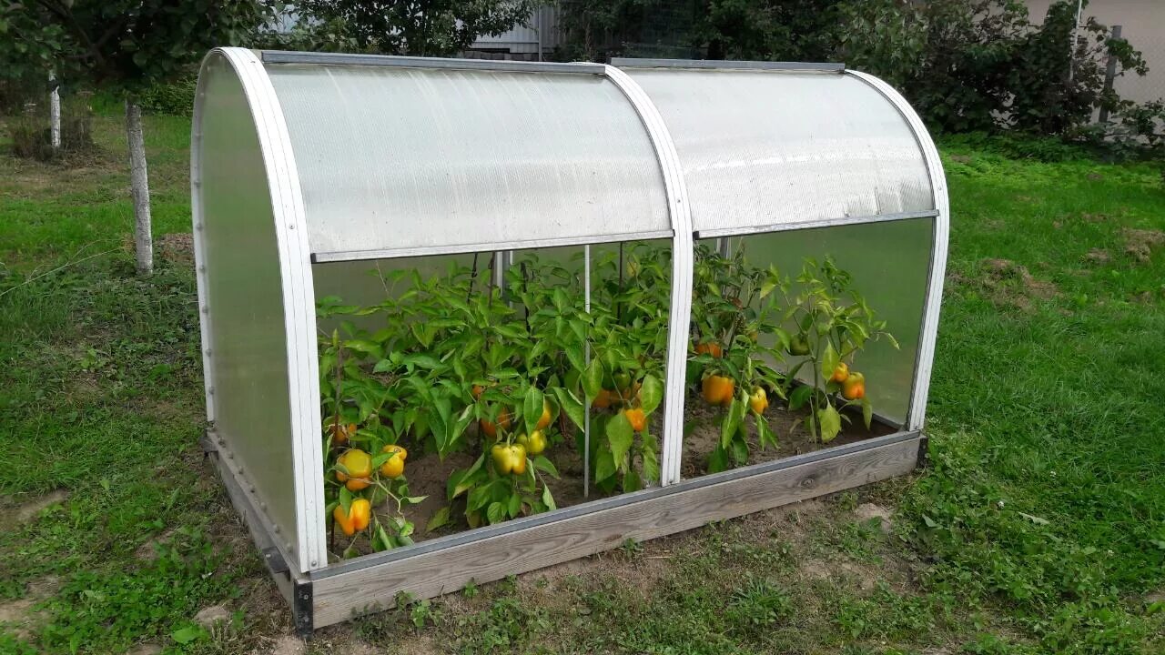 Мини парники купить в москве. Парник Greenhouse т-21. Парник т215 из поликарбоната Green House. Парник Greenhouse т312 3 м. Теплица "огуречник" 1м*3м.