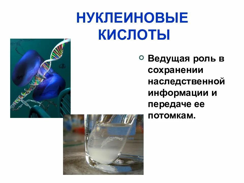 Роль органических веществ в живых организмах. Химический состав клетки 5 класс биология. Урок химические вещества клетки 5 класс. Химический состав клетки 5 класс биология презентация. Химический состав клетки 5 класс.